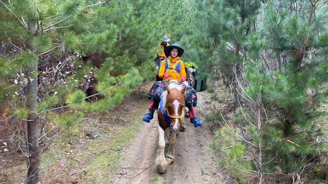 riding among trees for website